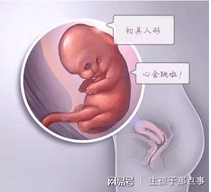 爱心拉拉代怀咨询怎么选